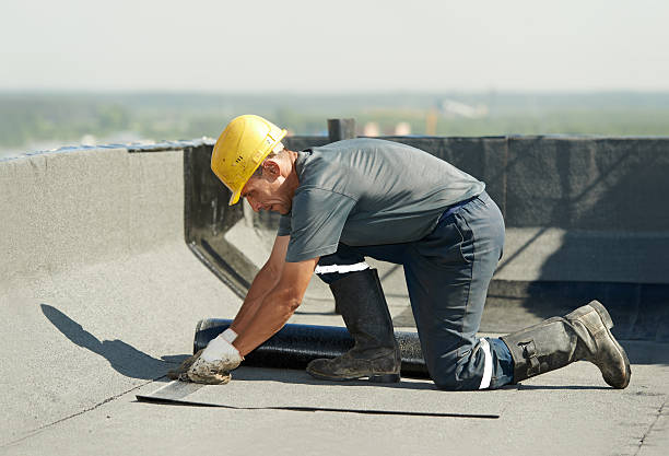 Best Cellulose Insulation  in Manhattan, MT